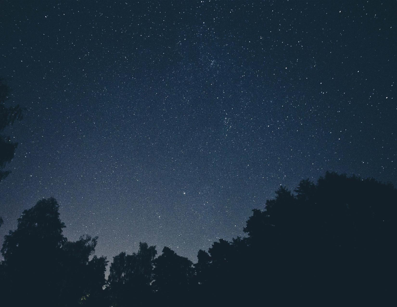 Night sky with stars over dark trees
